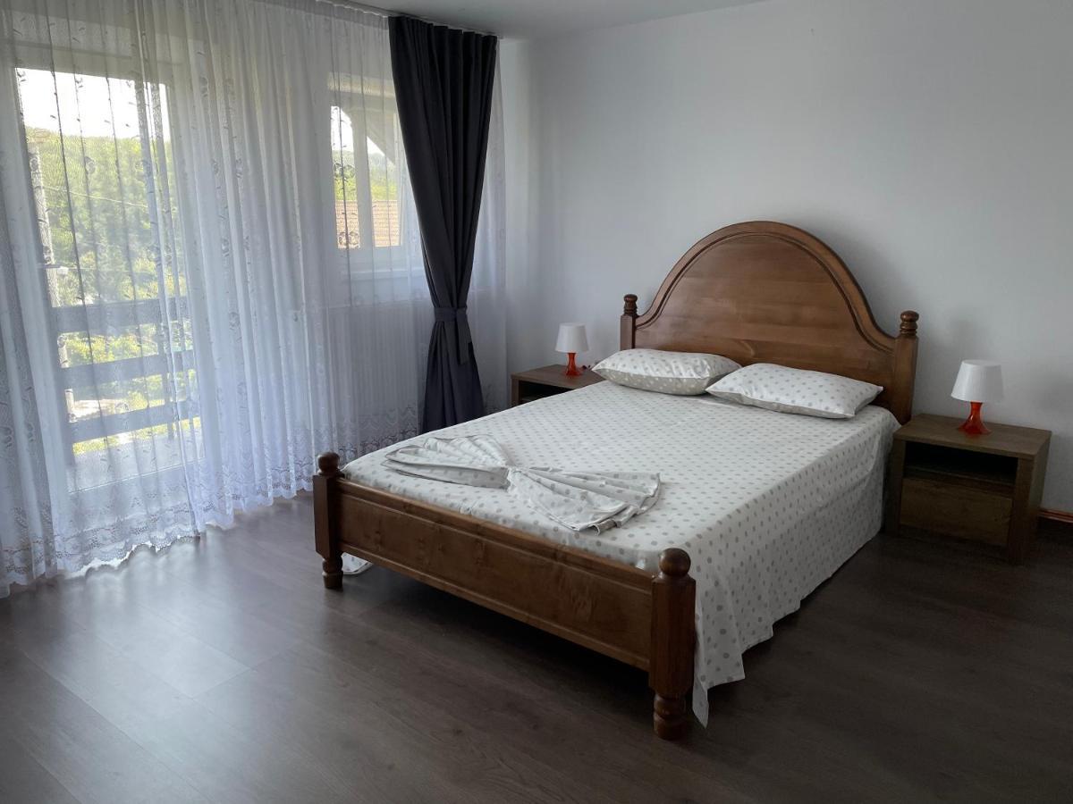 Cazare Vila Maria Apartment Curtea De Arges Exterior photo