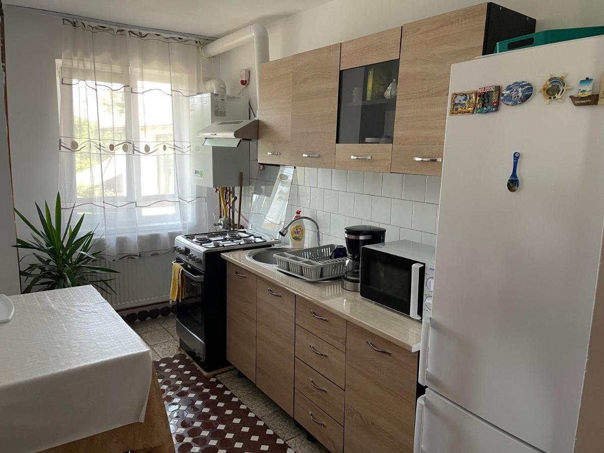 Cazare Vila Maria Apartment Curtea De Arges Exterior photo